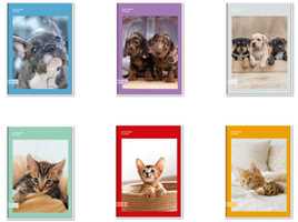 Cartoleria Quaderno A4 Maxi 96/100 Colour Code Animal Snapshot, 5 M - Quadretti grandi 5 mm 21 x 30 cm Colour Code