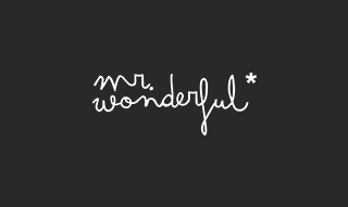 MR. WONDERFUL