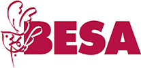 Besa