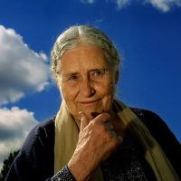 Libri di "doris Lessing"