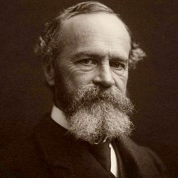 Libri di "william James"