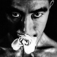 Libri di Yukio Mishima