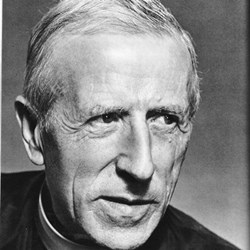 Libri di "pierre Teilhard De Chardin"