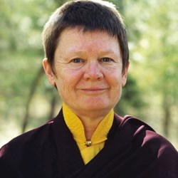 Libri di Pema Chodron