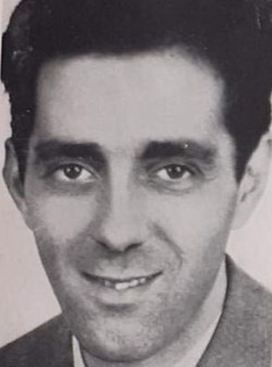 Lucio Mastronardi