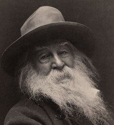 Libri usati di Walt Whitman