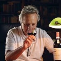 Il respiro del vino. Conoscere il profumo del vino per bere con maggior  piacere - Luigi Moio - Libro - Mondadori - Oscar bestsellers