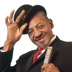 Vinili di Sonny Boy Williamson