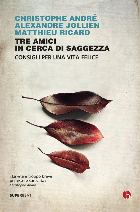 Tre amici in cerca di saggezza. Consigli per una vita felice - Christophe André,Alexandre Jollien,Matthieu Ricard - copertina