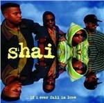 If I Ever Fall in Love - CD Audio di Shai