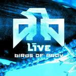 Birds of Pray - CD Audio di Live