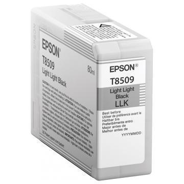 Epson Singlepack Light Light Black T850900 - 9