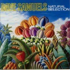 Natural Selection - CD Audio di Dave Samuels