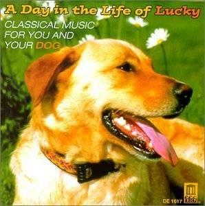 A Day In The Life Of Luck - CD Audio