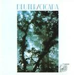 Cicada - CD Audio di Deuter