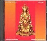 Maitreya. the Future Buddha - CD Audio di David Parsons