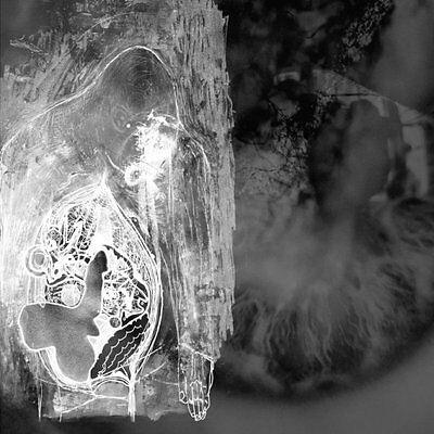 Split / Blister The Maw - CD Audio di Sonance