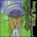 What You Whispered - CD Audio di David Wilcox