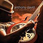 Powerful Now - CD Audio di Anthony David