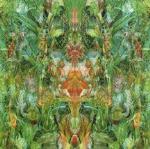 Emerald Aether - CD Audio di Bill Laswell