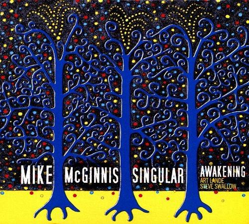Singular Awakening - CD Audio di Mike McGinnis
