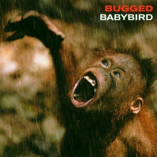 Bugged - CD Audio di Babybird