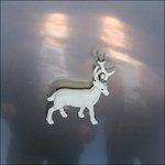 Stainless Steel Mirrors - Vinile LP di Buck Gooter