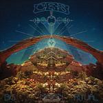 Big Moon Ritual - CD Audio di Chris Robinson (Brotherhood)