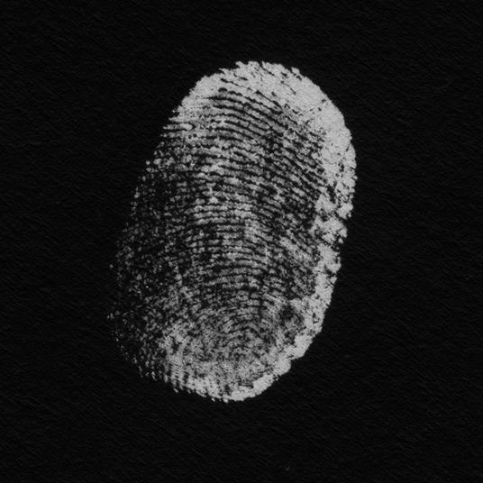 More Touch - CD Audio di Patricia Brennan