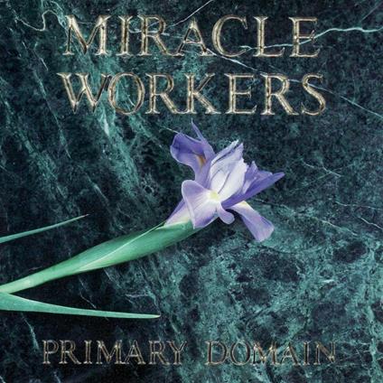 Primary Domain - CD Audio di Miracle Workers