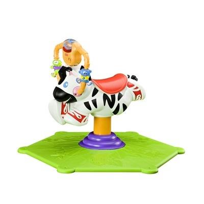 Zebra saltella e gira - 3