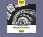 Quartetti per archi completi