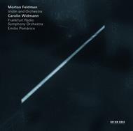 Violino e orchestra