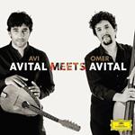 Avital Mees Avital