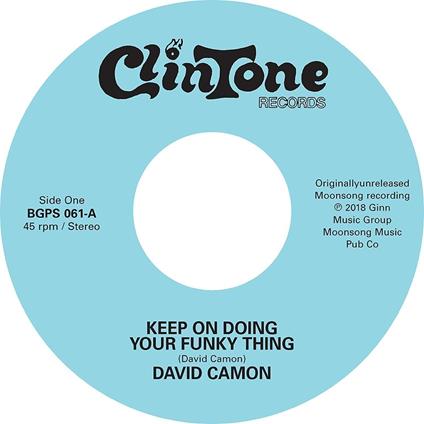 Keep On Doing Your Funky Thing - Ain'T It Funky (Doing Your Own Thing) - Vinile LP di David Camon