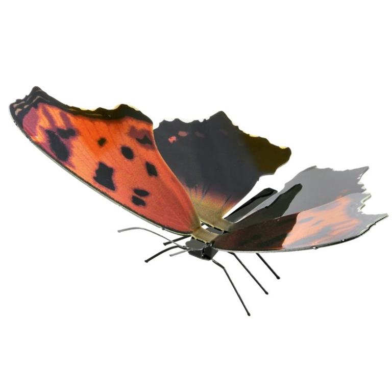 Infopavon