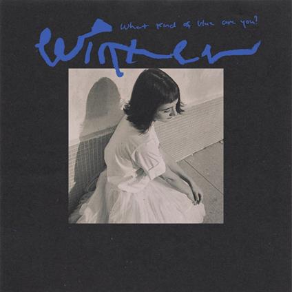 What Kind Of Blue Are You? - Vinile LP di Winter