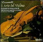 L'arte del violino
