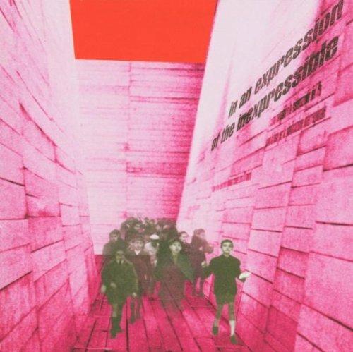 In an Expression of the Inexpressible - CD Audio di Blonde Redhead