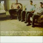 Possible Cube - CD Audio di Chicago Underground Trio