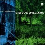 Piney Woods Blues - CD Audio di Big Joe Williams