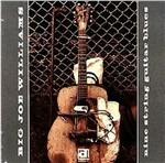 Nine String Guitar Blues