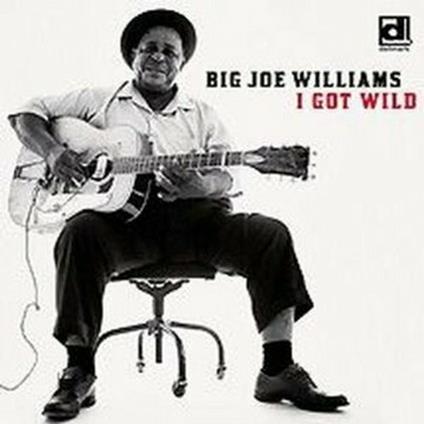 I Got Wild - CD Audio di Big Joe Williams