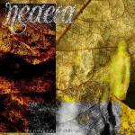 The Rising Tide of Oblivion - CD Audio di Neaera