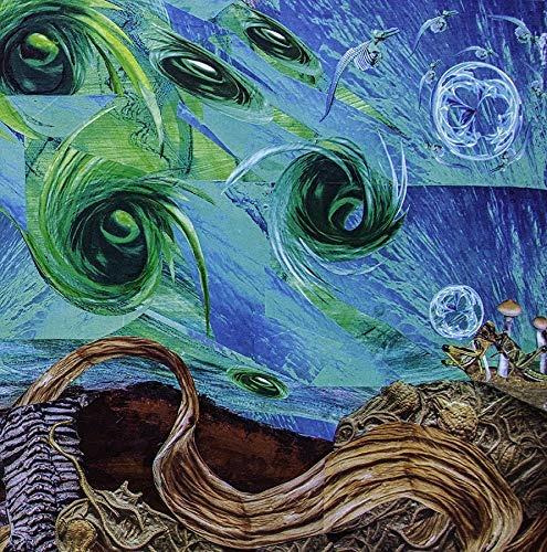 Fluid Existential Inversions - CD Audio di Intronaut