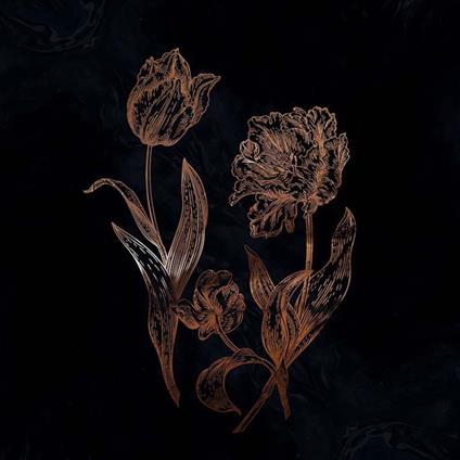 Cycles Of Asphodel - Vinile LP di Dvne