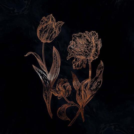 Cycles Of Asphodel - Vinile LP di Dvne