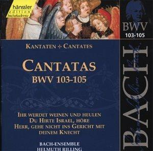 Cantate vol.33 - CD Audio di Johann Sebastian Bach