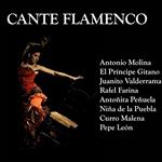 El cante flamenco