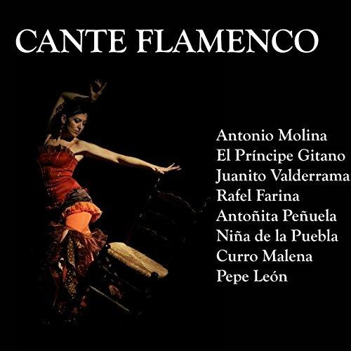 El cante flamenco - CD Audio